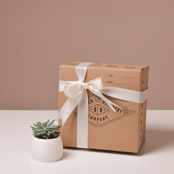 Snack Brunch con  Suculenta (planta) 🪴- Personalizable - Imagen 4