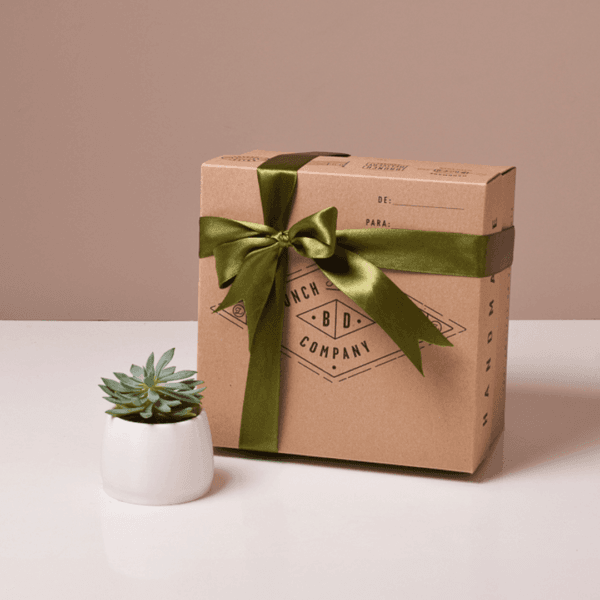 Snack Brunch con  Suculenta (planta) 🪴- Personalizable - Imagen 2